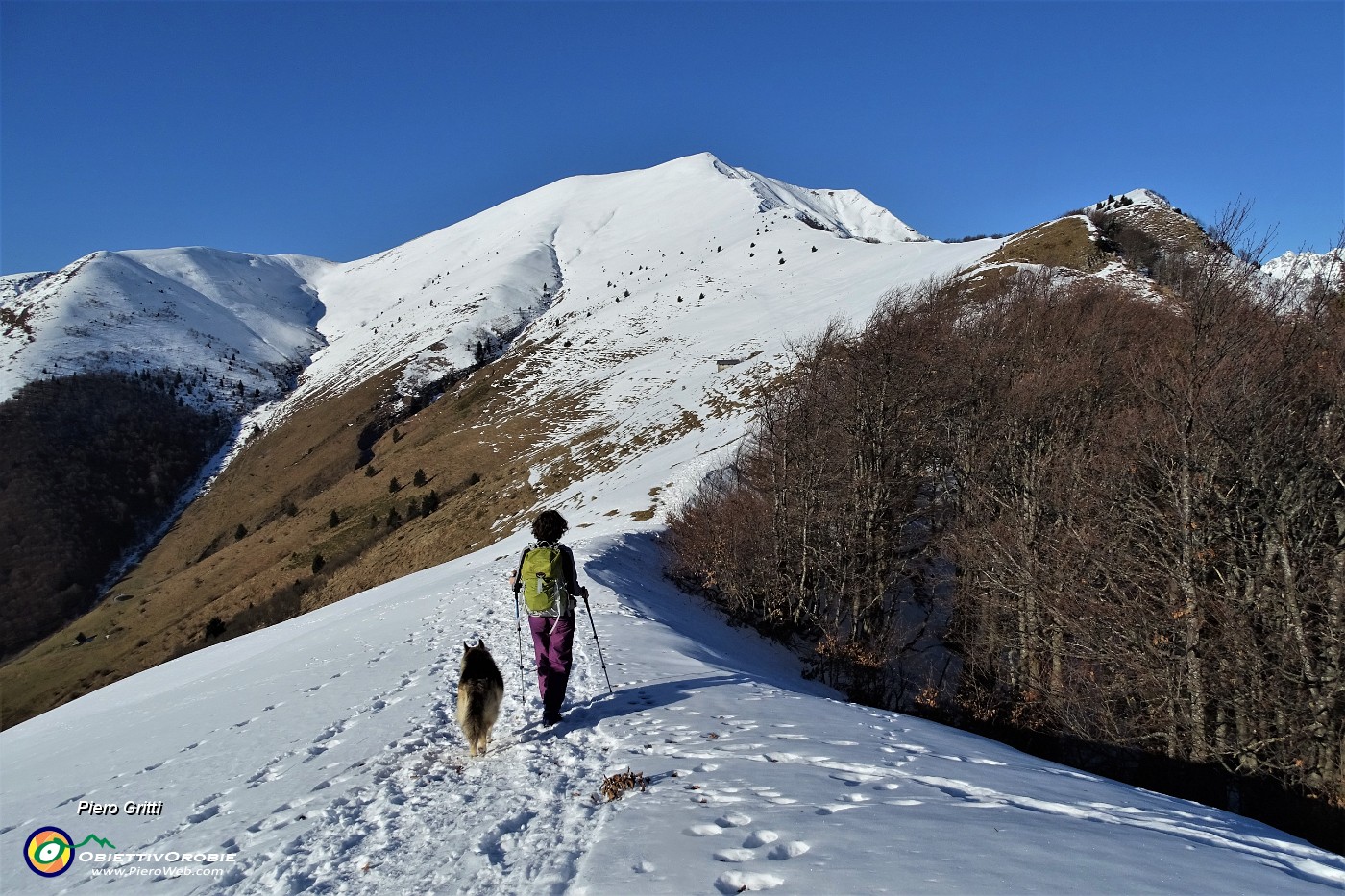 18 La lunga cresta innevata da salire del Pizzo Baciamorti.JPG